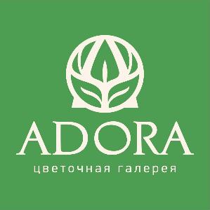 ADORA - Город Кемерово адора лого.jpg
