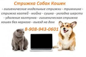 стрижка собак кошек Город Кемерово